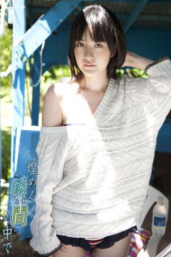 翻译官(杨幂。黄轩主演)_小说
