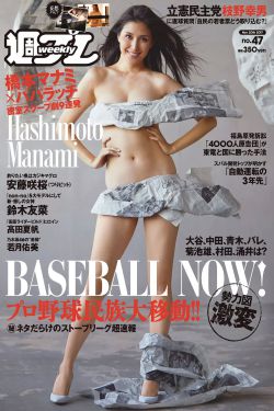 圣龙骑士
